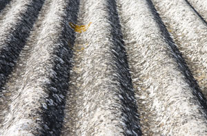 Asbestos Garage Roof Removal UK (044)